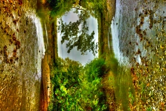 Double-vision