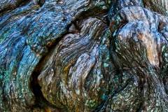Natures-abstract