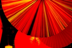 Study-in-Orange-fans