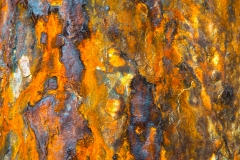 Work in Orange