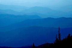 North Carolina Cobalt Blue