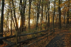 Fall Ohio Trail