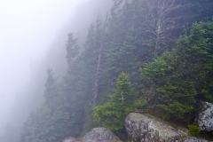 In The Clouds Roan Mountain