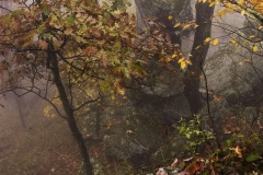 Afternoon on Foggy Mountain