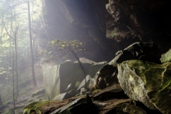 The Tree Yahoo Falls